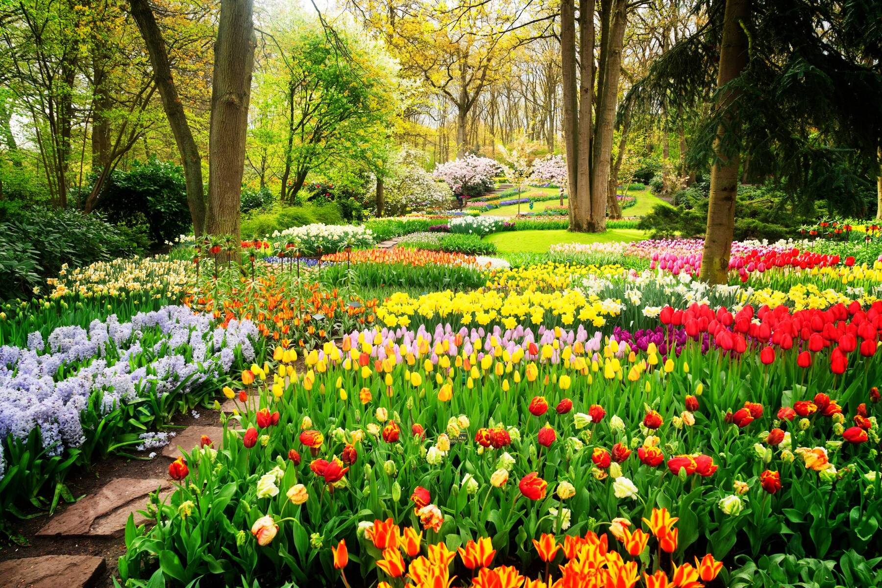 5 Spring destinations in Europe for Flower Lovers