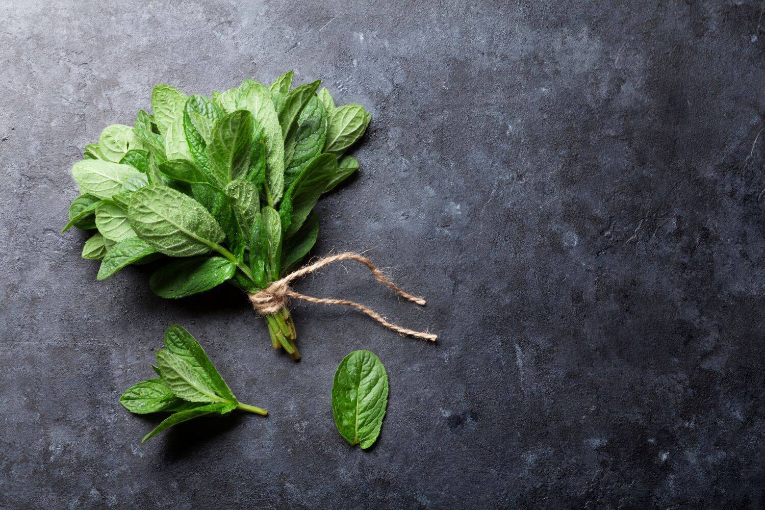 12 Health Boosting Herbs to Add to Your Dishes