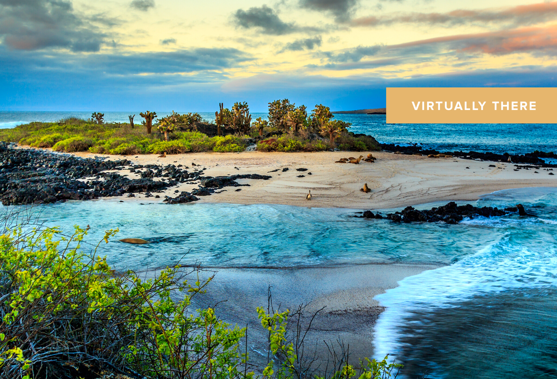 The Ultimate Galapagos Islands Expedition