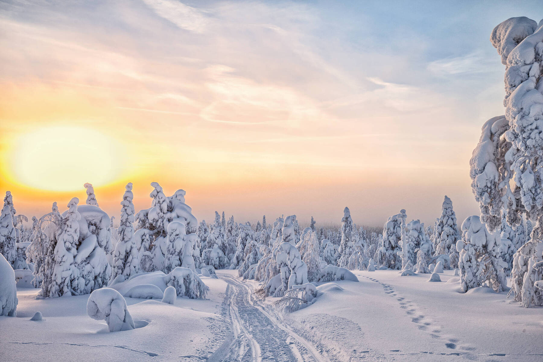 Arctic Cocooning Experience in Finland