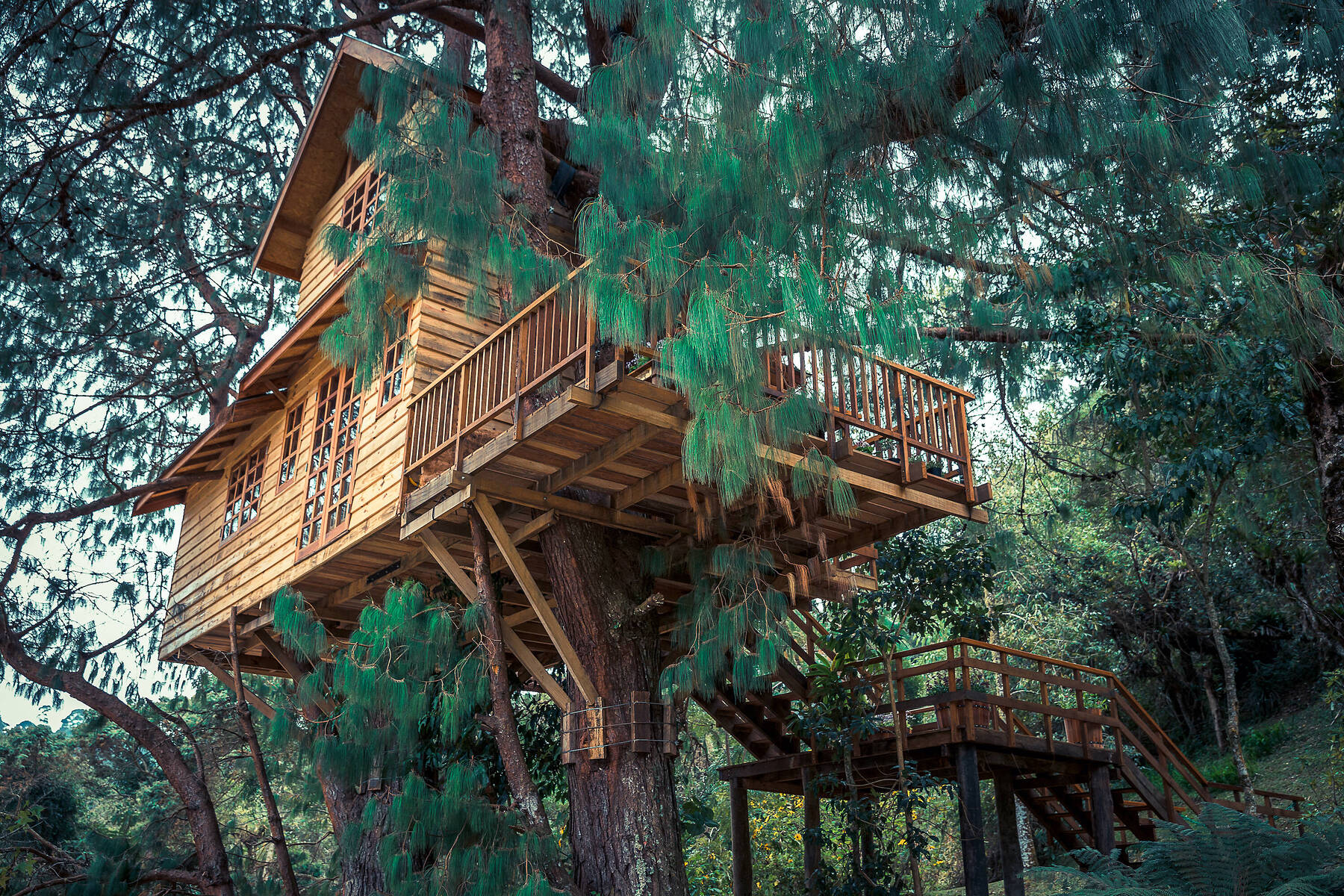 Must-Stay Magical Treehouses Across The U.S.A.