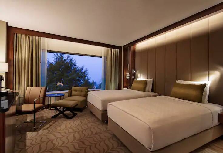 Twin Deluxe Room with Park View