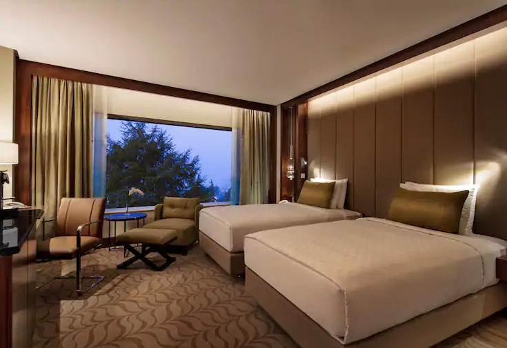 Twin Deluxe Room with Park View