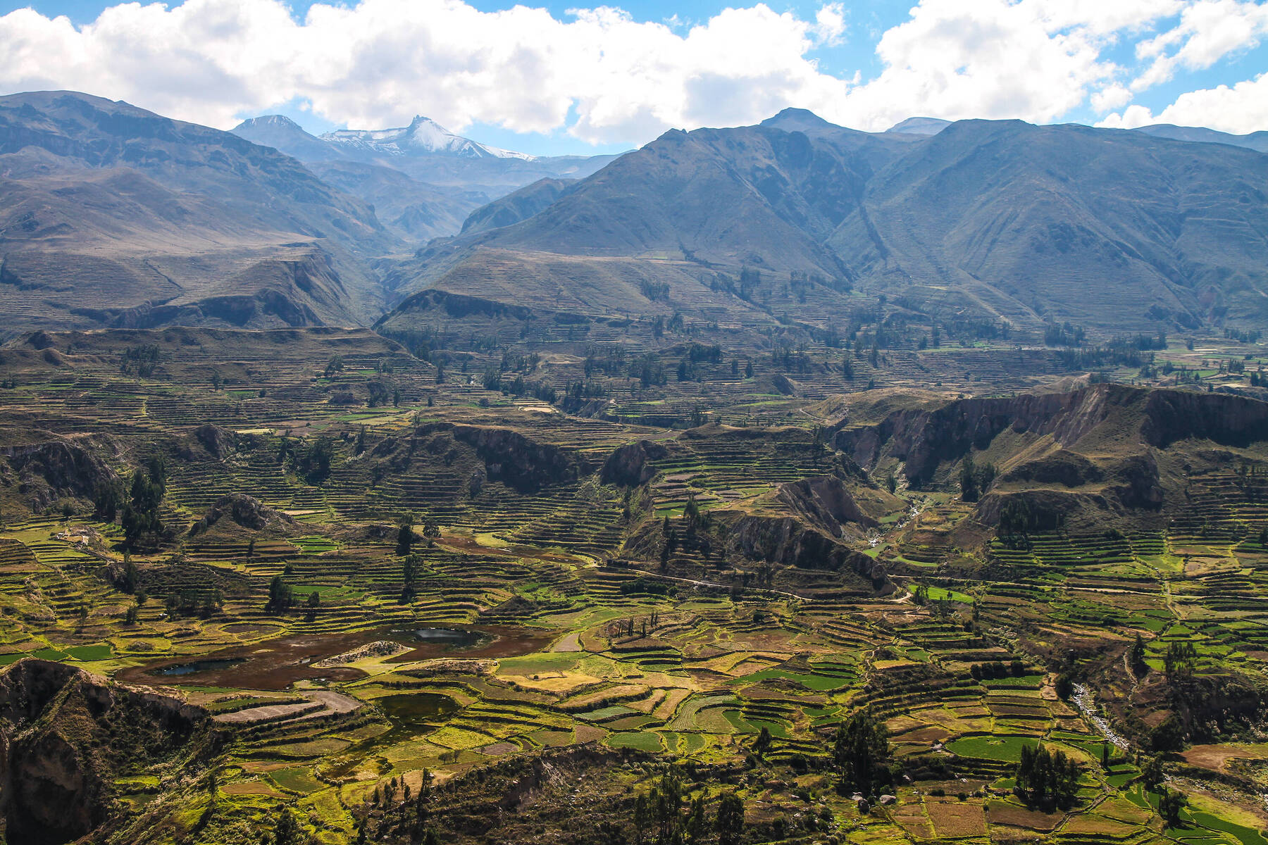 Dive into the depths of your soul at Colca Canyon