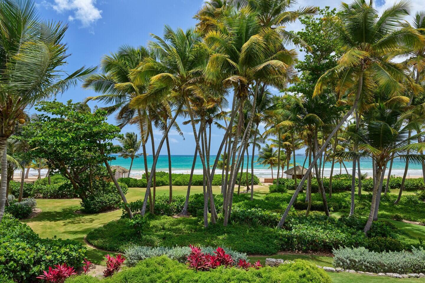  Grand Deluxe Oceanfront King Room