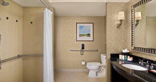 Mobility Hearing Accessible Deluxe King Suite with Roll-In-Shower