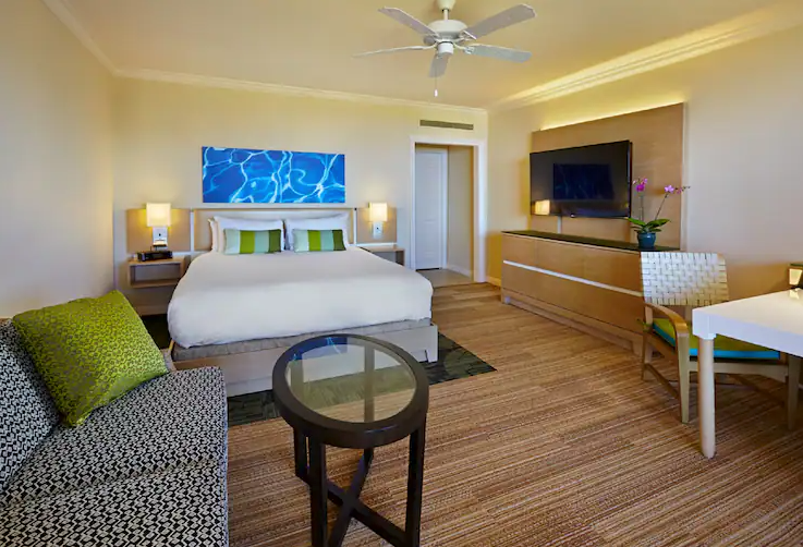 Ocean View Accessible King Room