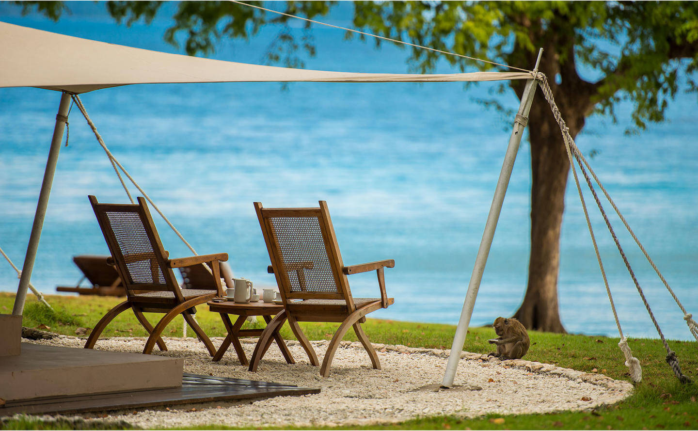 Ocean Tent