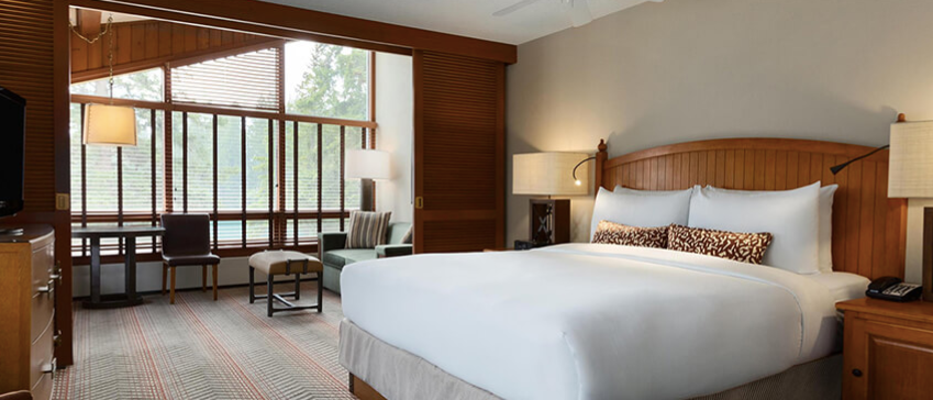 Junior Lakeview Double Double Suite Estate
