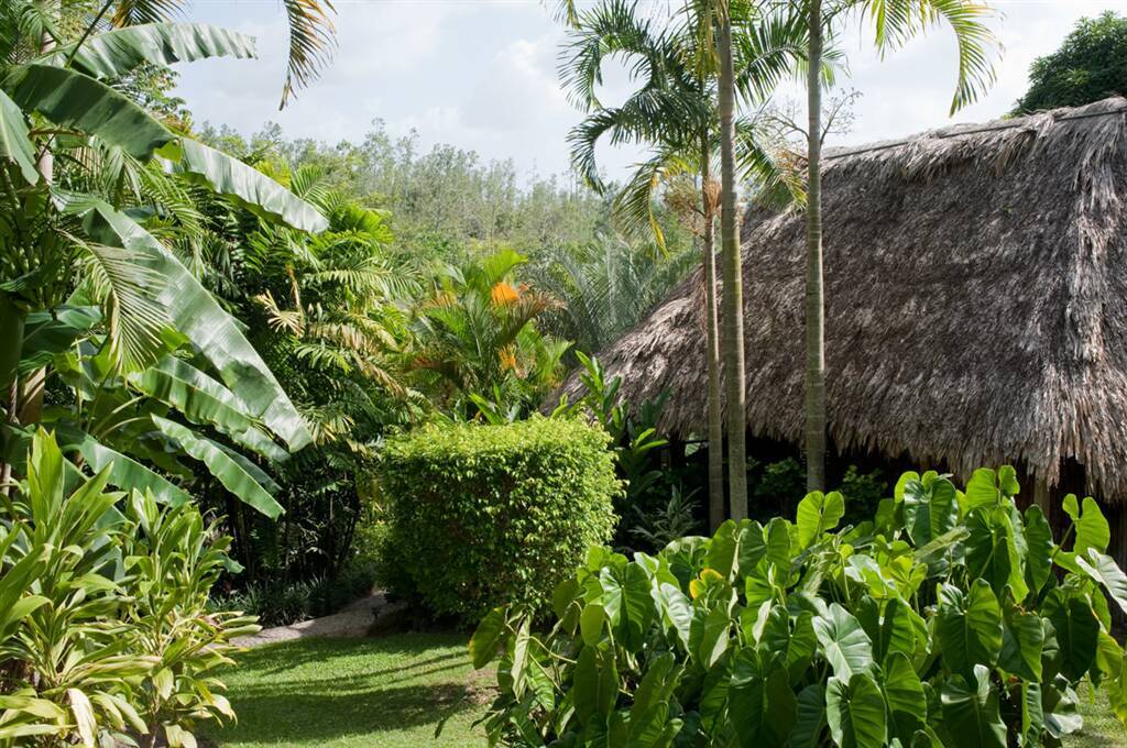 Garden View Cabana