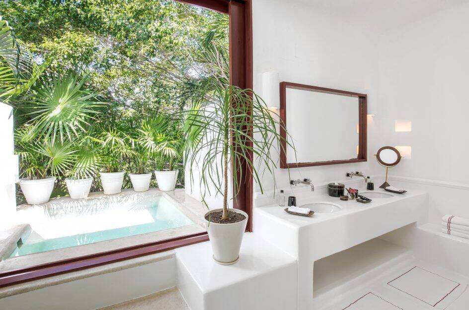 Jungle Plunge Pool Suite