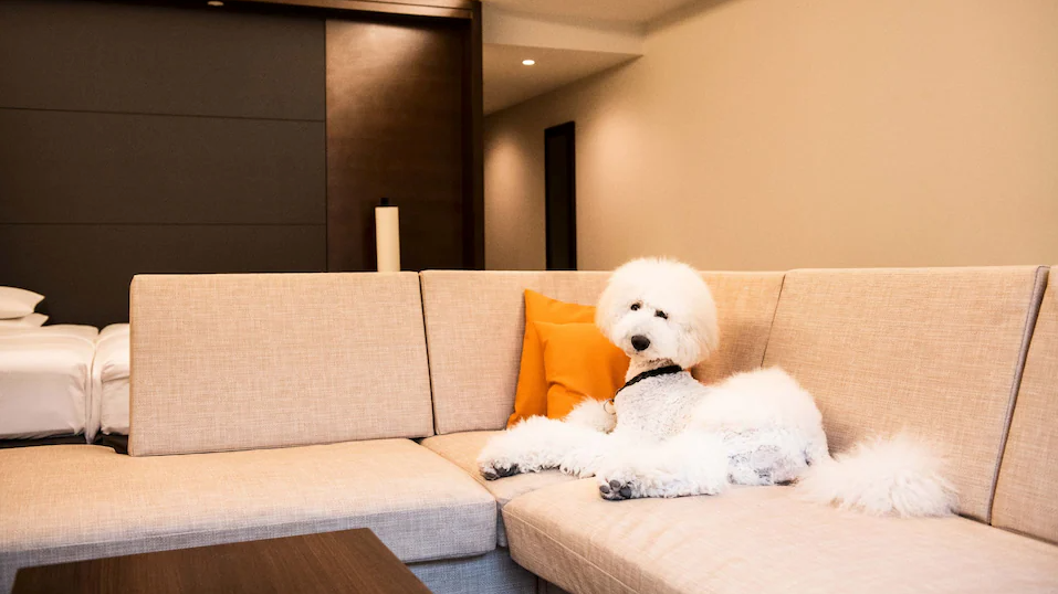 Two Twin Dog Friendly Deluxe