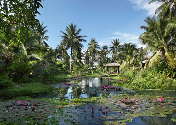 Lagoon Pool Villa - King Bed