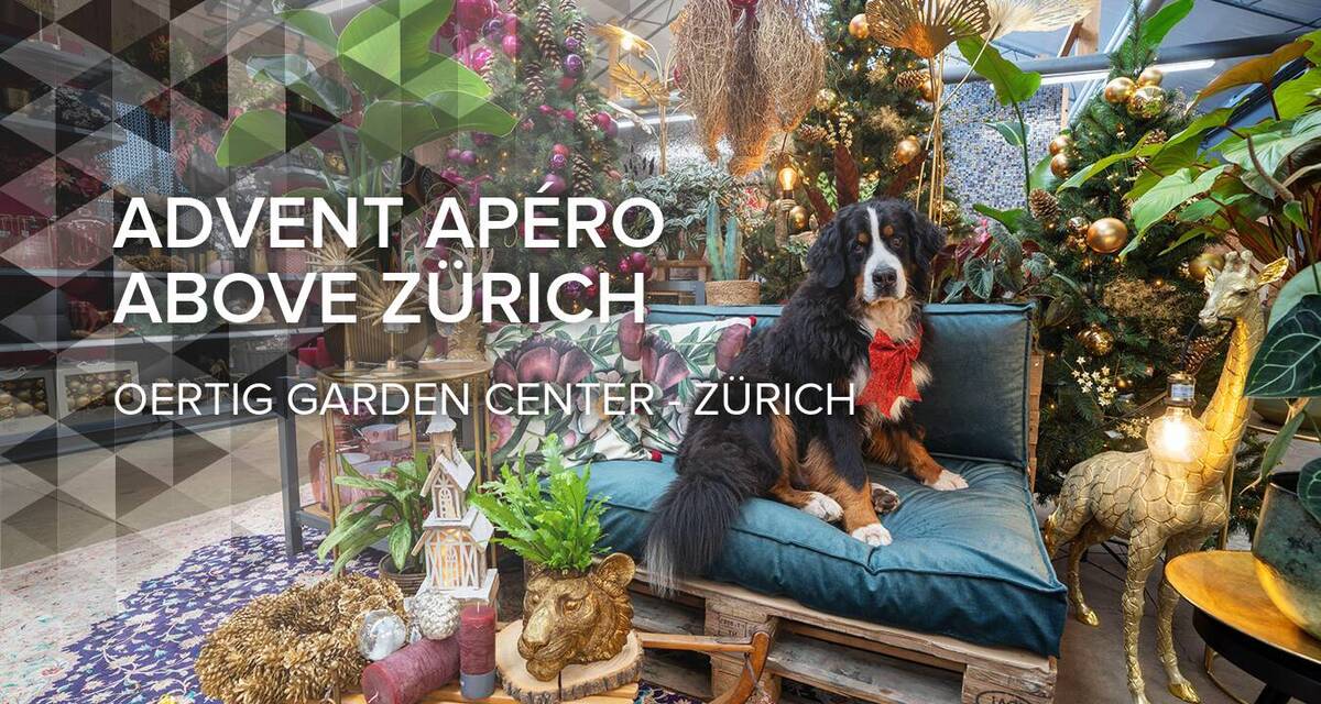 Advent Apéro above Zürich