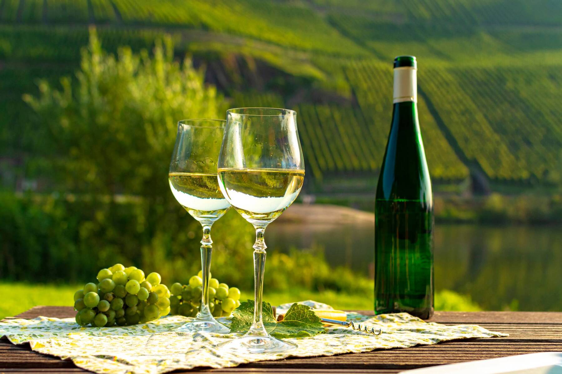 A Trio of German Wine Festivals