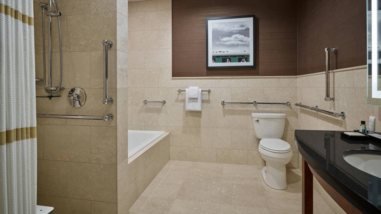 ONE BEDROOM SUITE KING SOFA BED