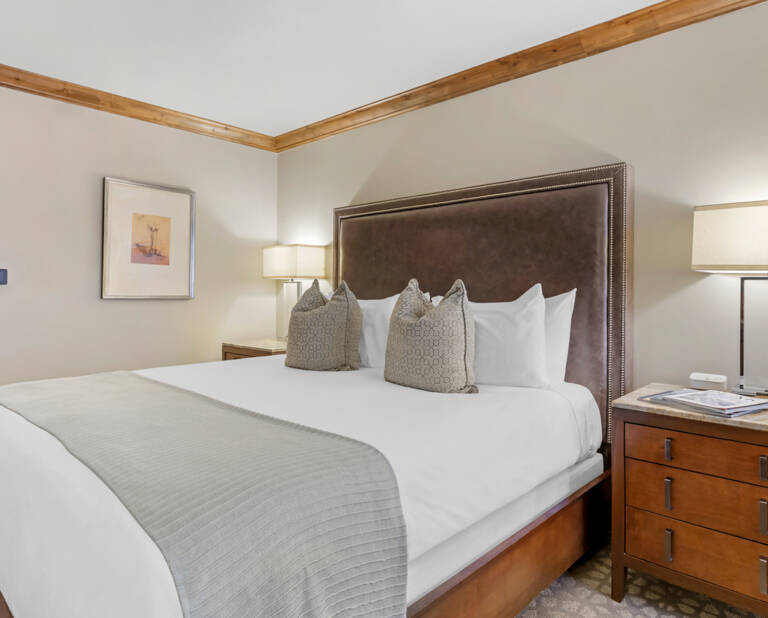 Luxury Plaza Room – One King
