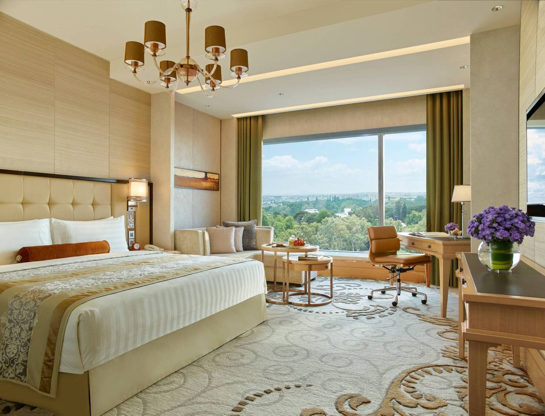 Bangalore King View Room