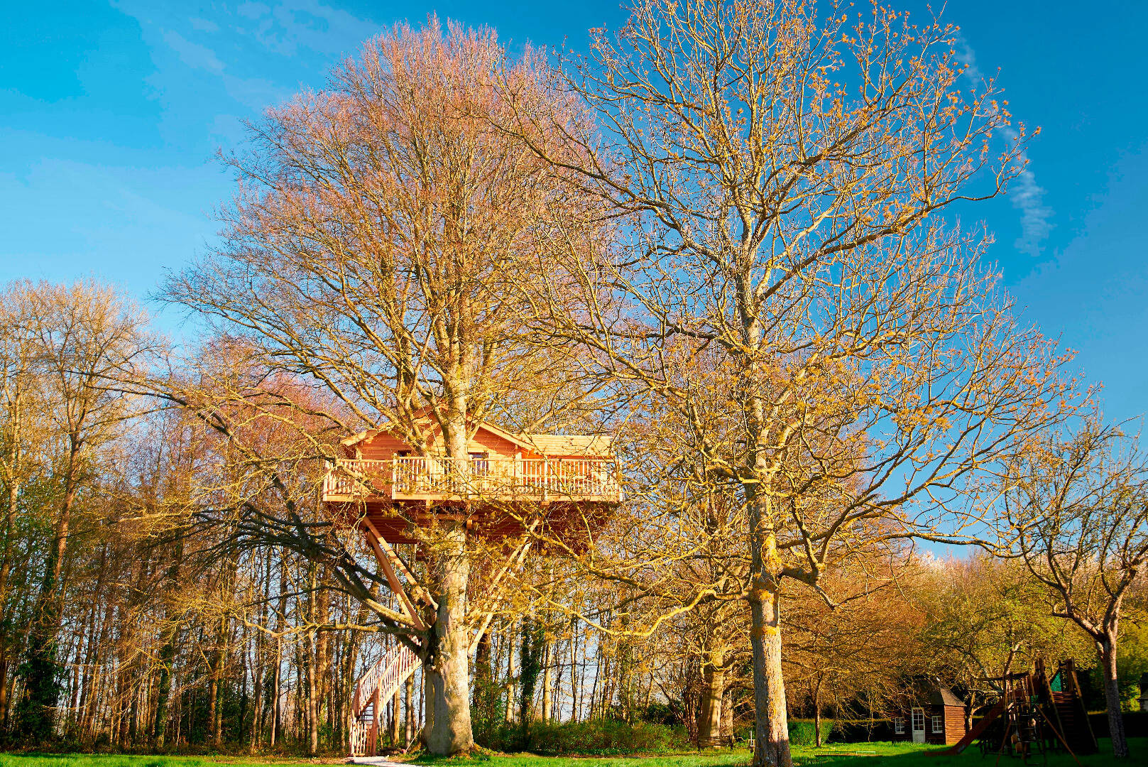 Deluxe Tree House