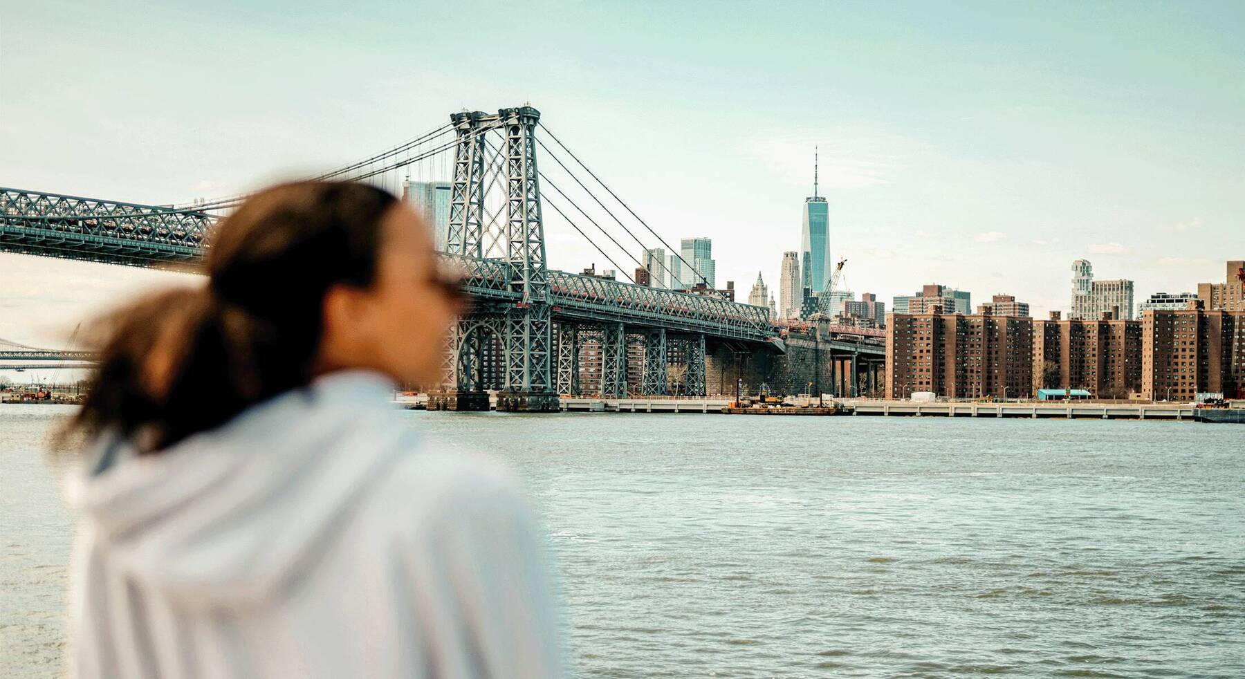 New York City’s Best Bagels 