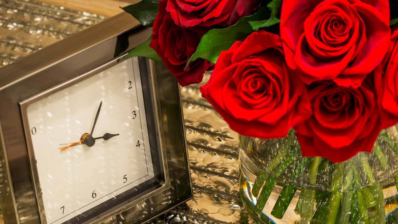 Cosmopolitan Junior Suite