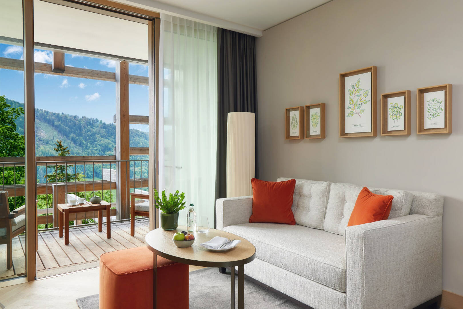 Alpine Deluxe Room with Terrace 