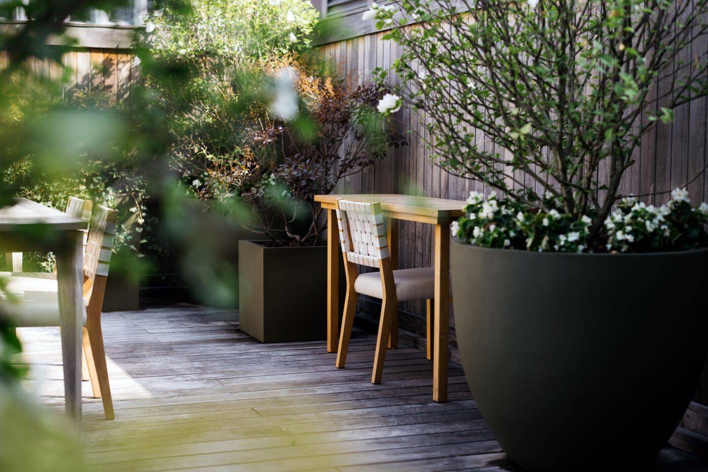Garden Suite (One Bedroom) with Grand Patio