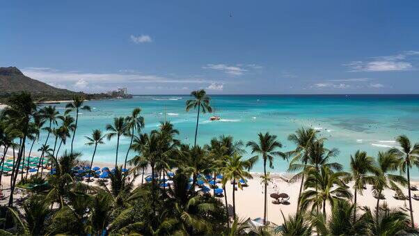 Mailani Tower Oceanfront King Room