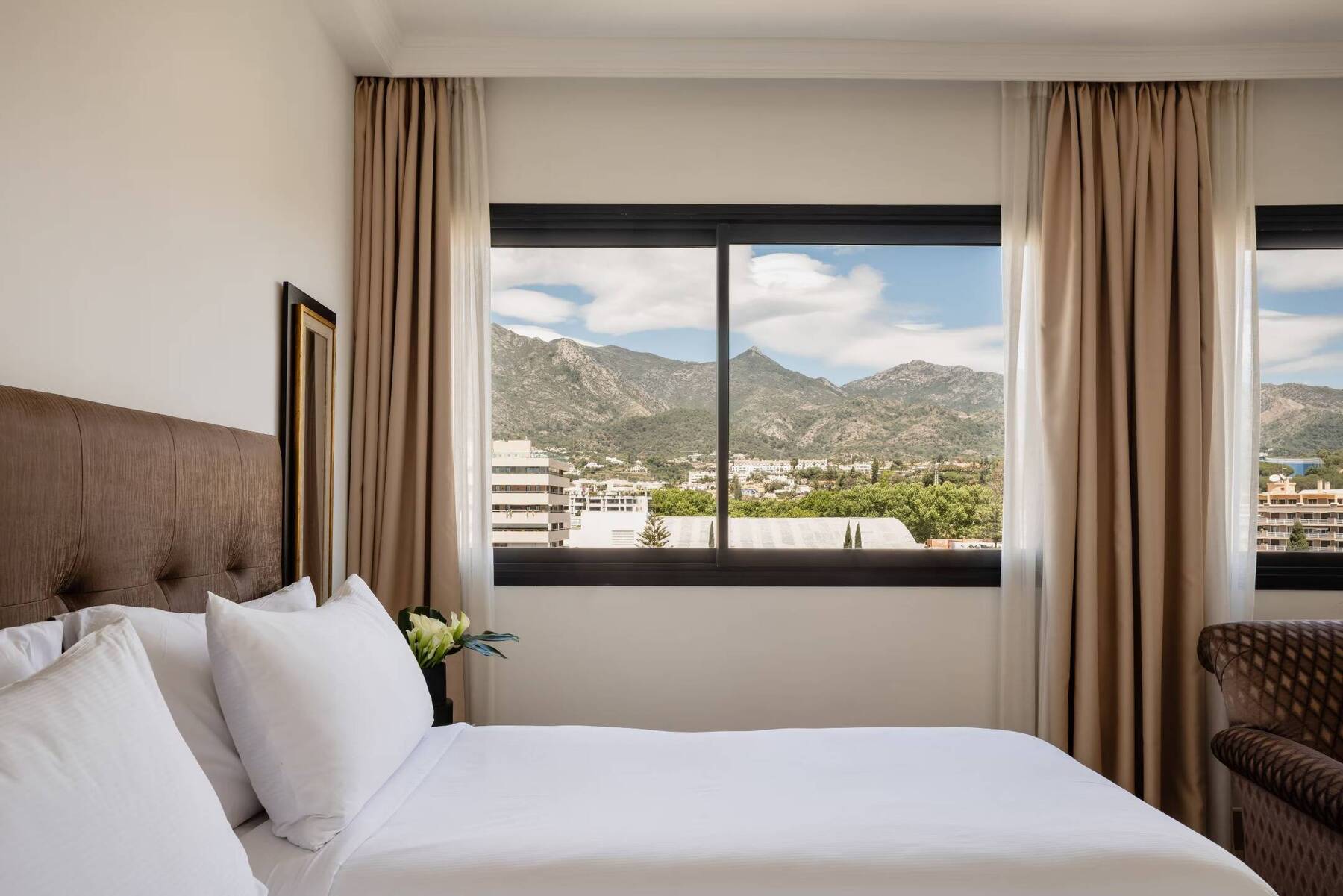 Classic Mountain View Room