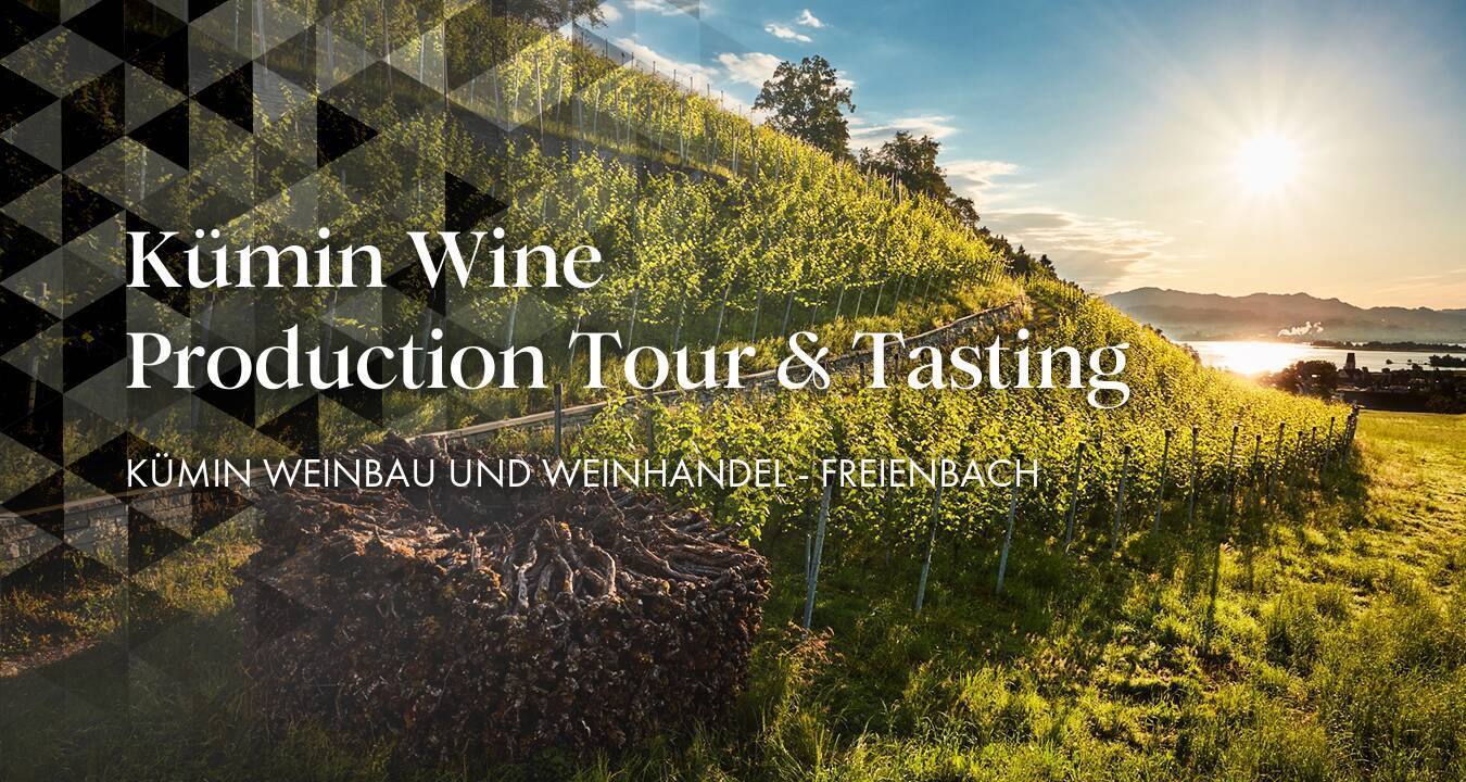 Kümin Wine & Production Tour & Tasting