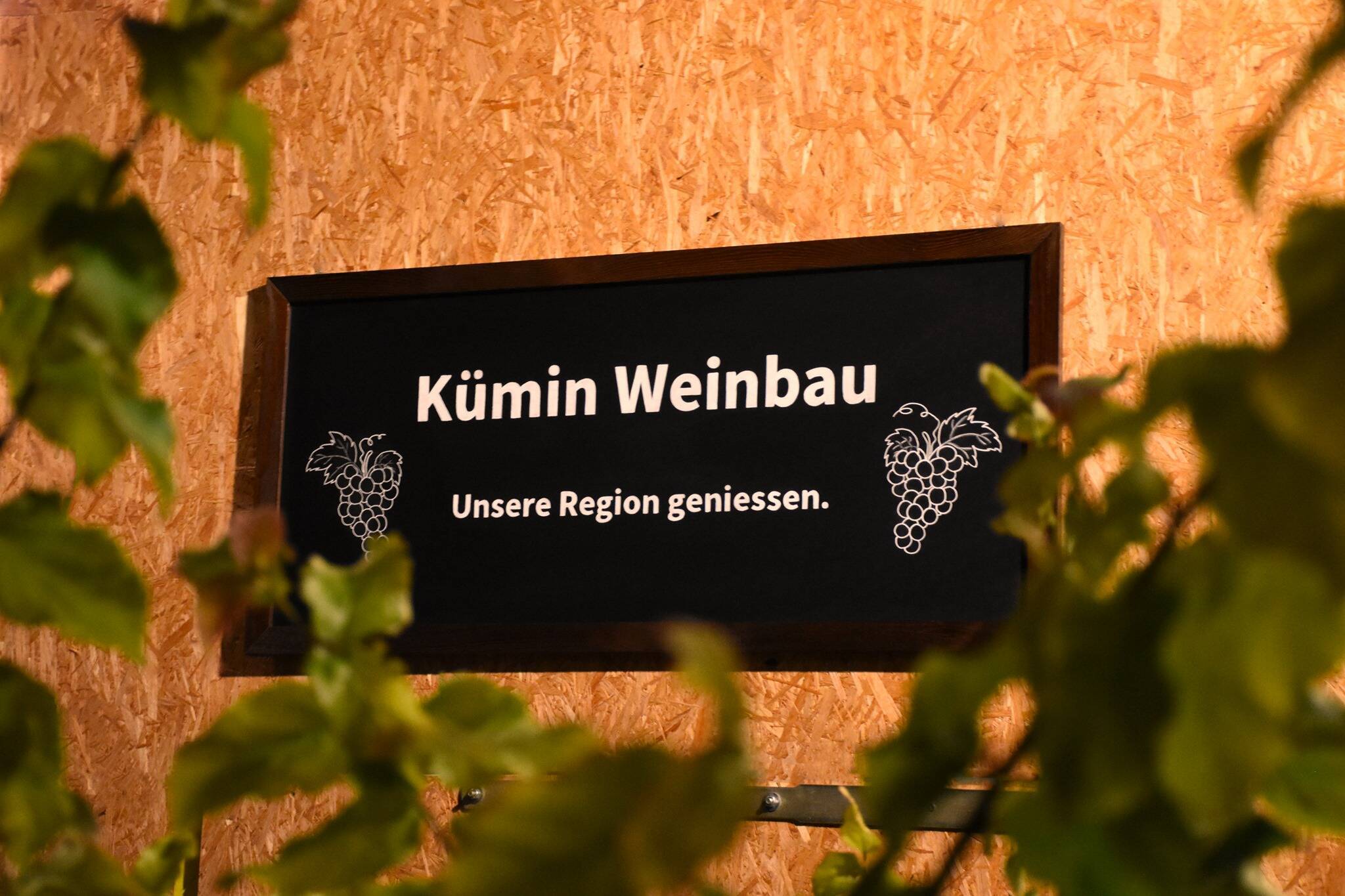 Kümin Wine & Production Tour & Tasting