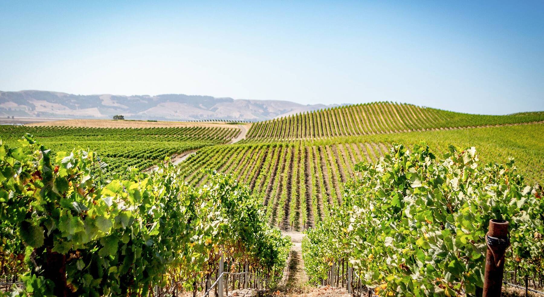 ASMALLWORLD Recommends: Napa Valley