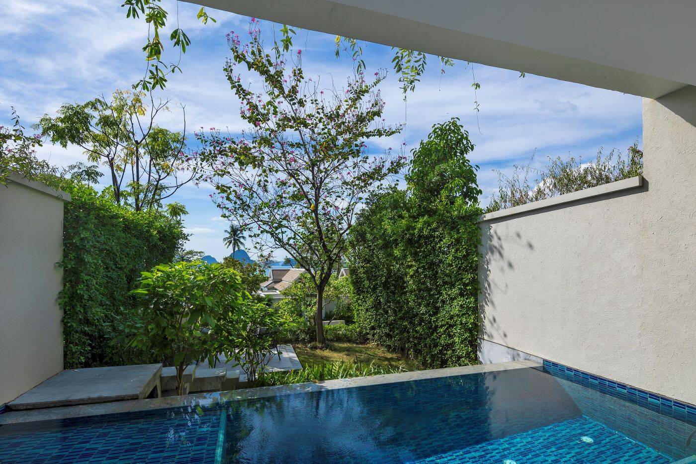Deluxe Garden Pool Suite Twin