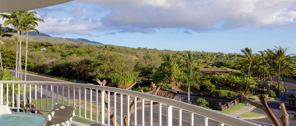 FAIRMONT SUITE KING DOUBLE SOFA BED