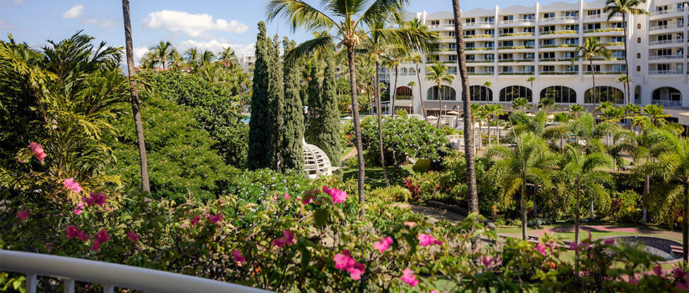 Garden View Suite King Accessible 