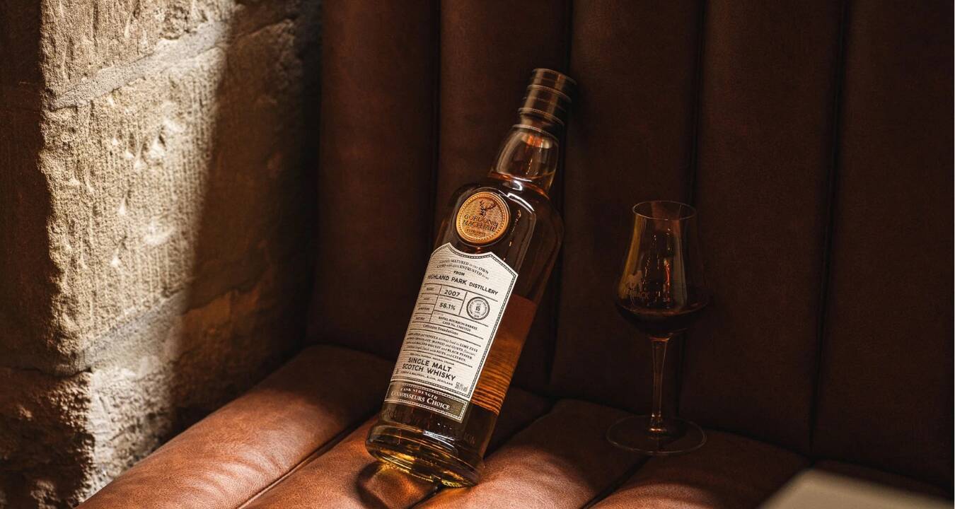 After-Work Apéro at Silverback