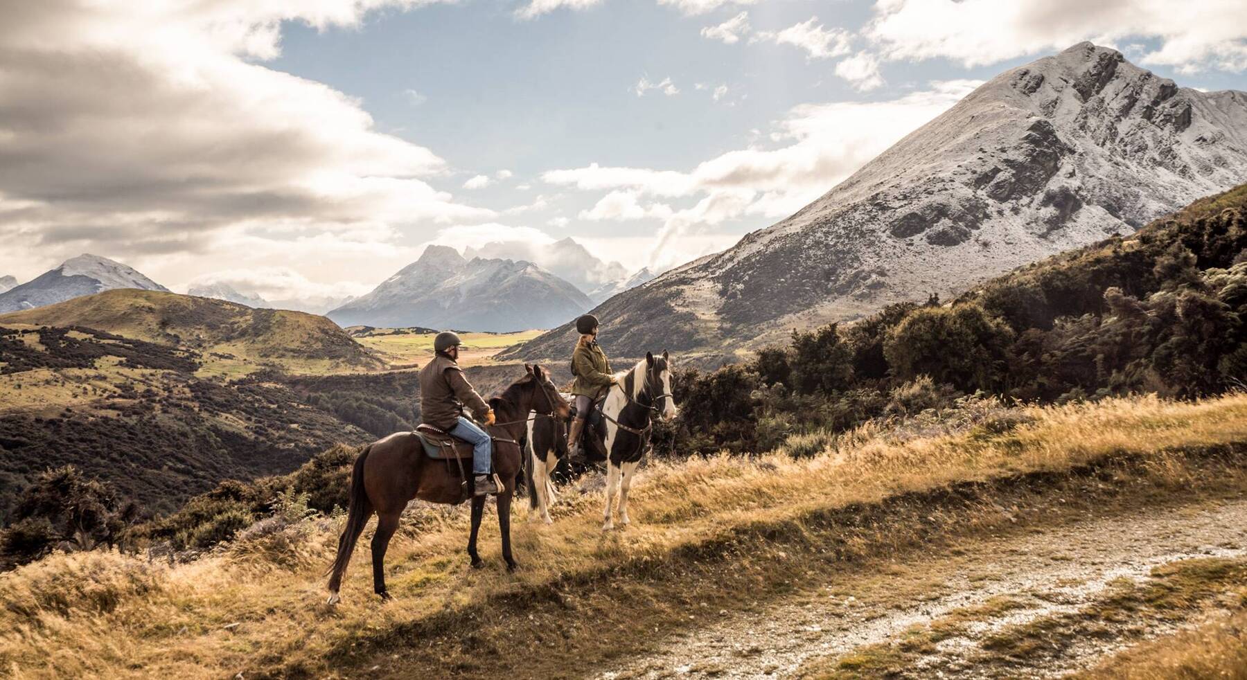 Gallop into the New Year