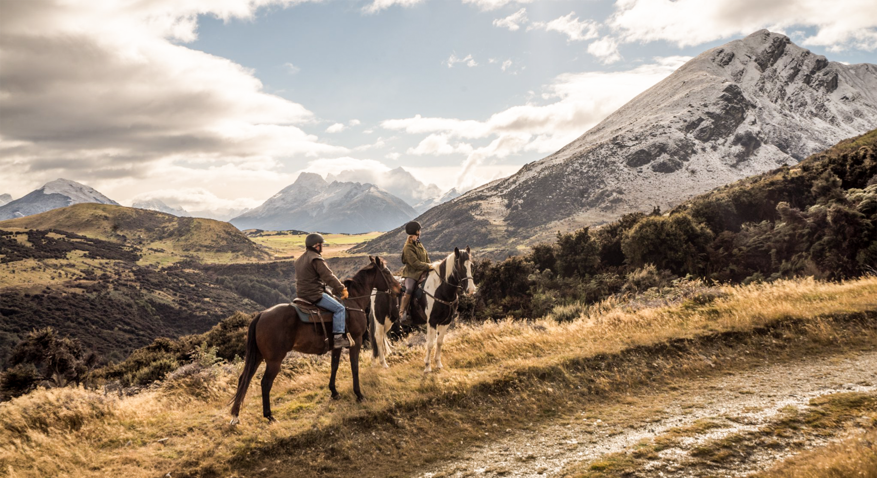 Gallop into the New Year