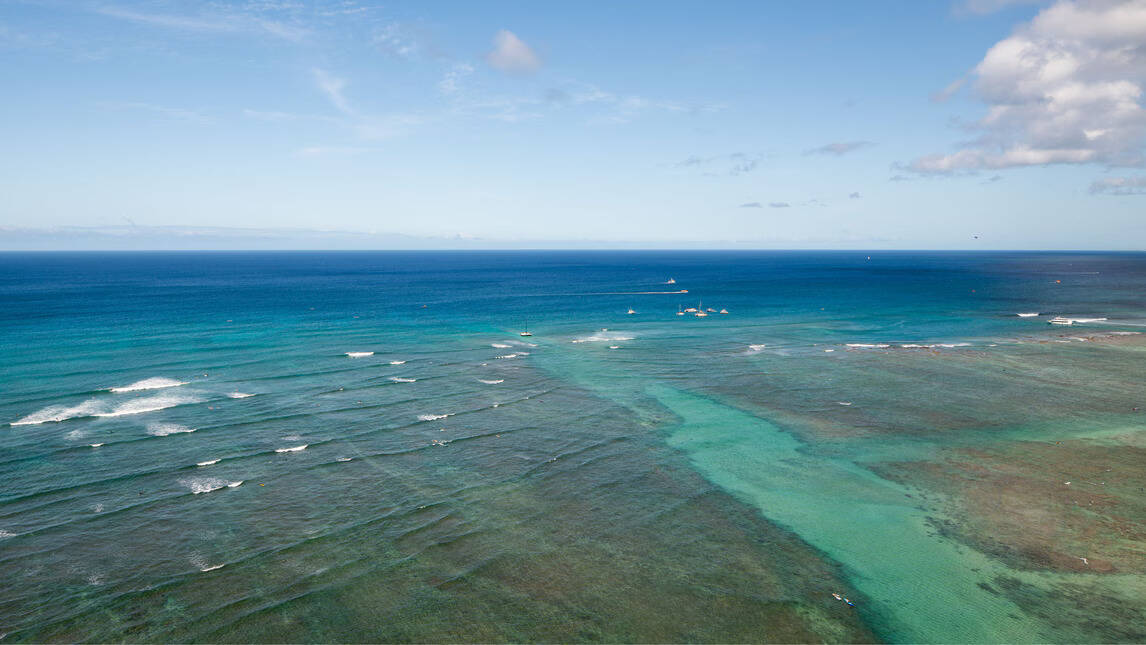 PENTHOUSE OCEANFRONT FL28-31 TWO DOUBLE BED