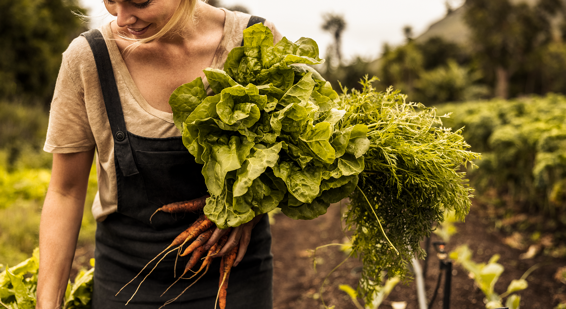 Root-to-ritual dining: Redefining how we eat
