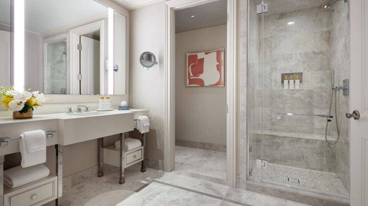 PENTHOUSE SUITE