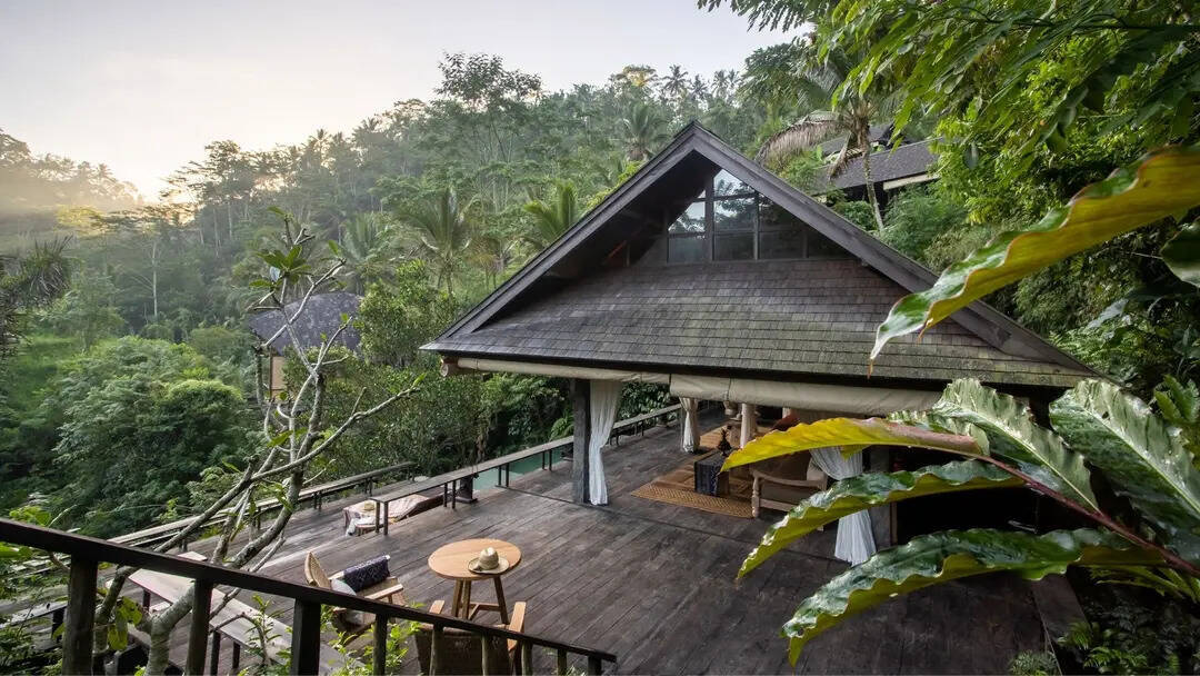 RAINFOREST POOL BALE