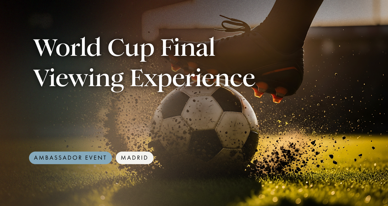 World Cup Final Viewing Experience