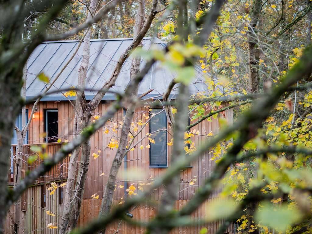 LUXURY TWO BEDROOM TREEHOUSE SUITE