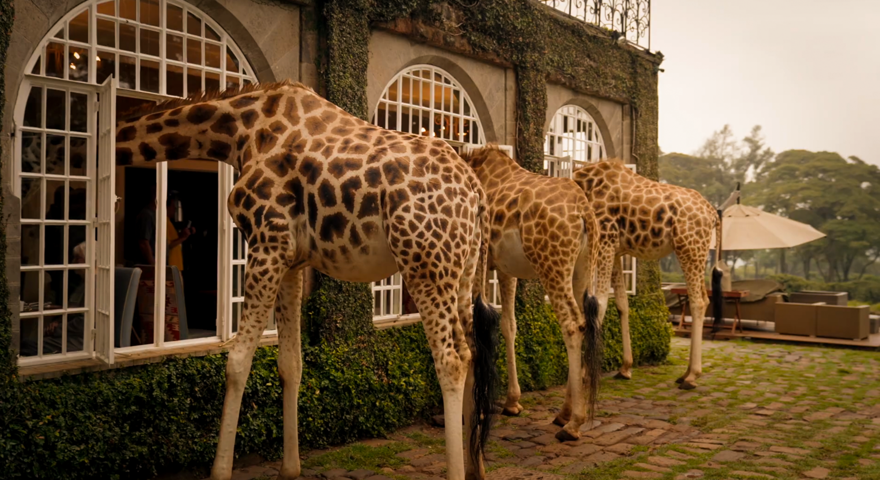 Kenya: The ultimate family adventure