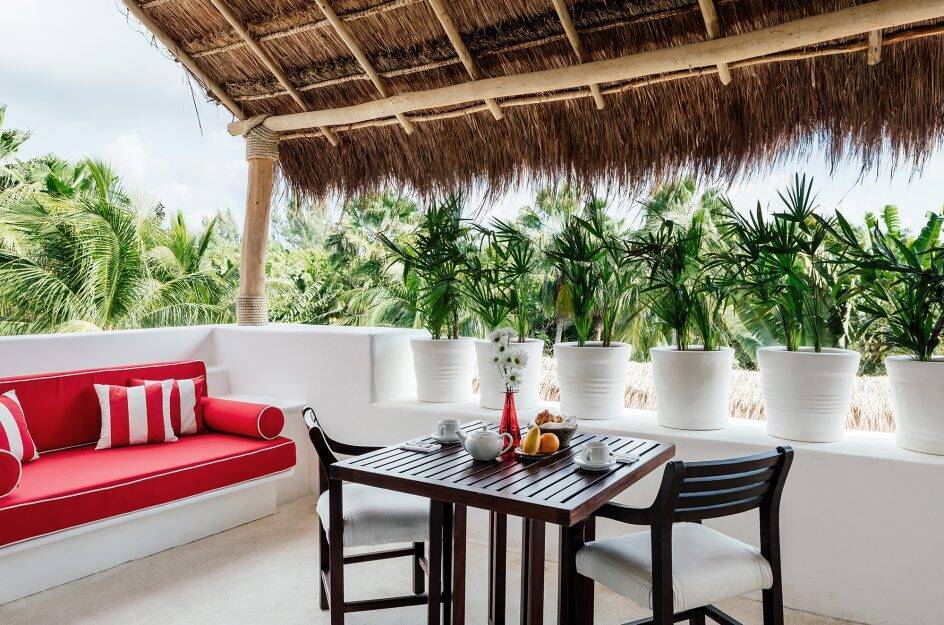 MASTER JUNGLE SUITE