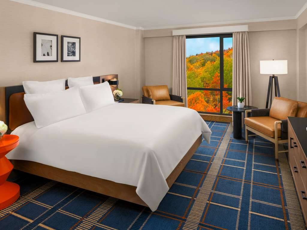 Suite One Bedroom King